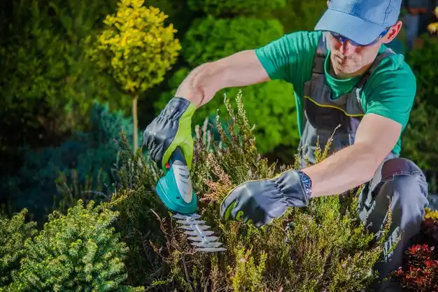 landscaping services Lake Michigan Beach